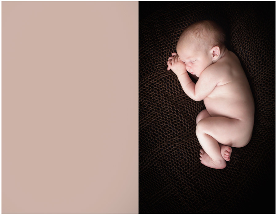 bisontine_blogtemplates21